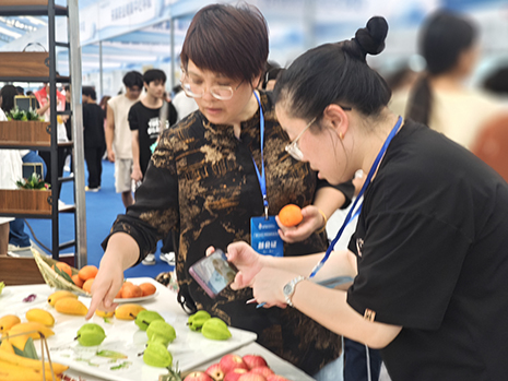 1747381602034059481.jpg 陸向華主任向中國新聞網記者介紹參展作品.jpg
