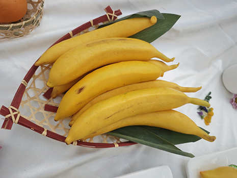 1747381655043082073.jpg 象形麵點參(cān)展作品:香(xiāng)蕉.jpg