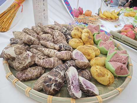 1747381682005064414.jpg 象形麵點參展作品:芋頭土豆(dòu)等.jpg